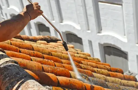 Nettoyage de toitures - Laz